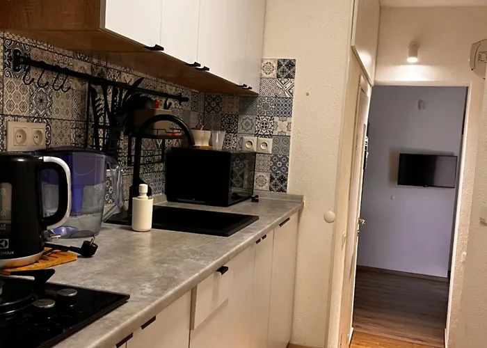 Apartament In Center Korzenko Steet Of *