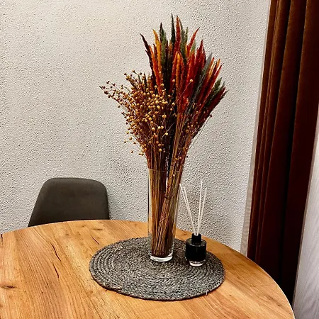 In Center Korzenko Steet Of Lejlighed